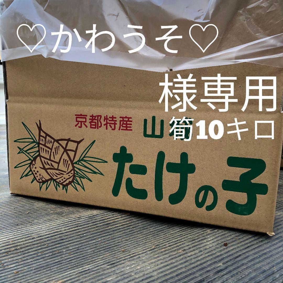 ♡かわうそ♡ 筍10キロクール