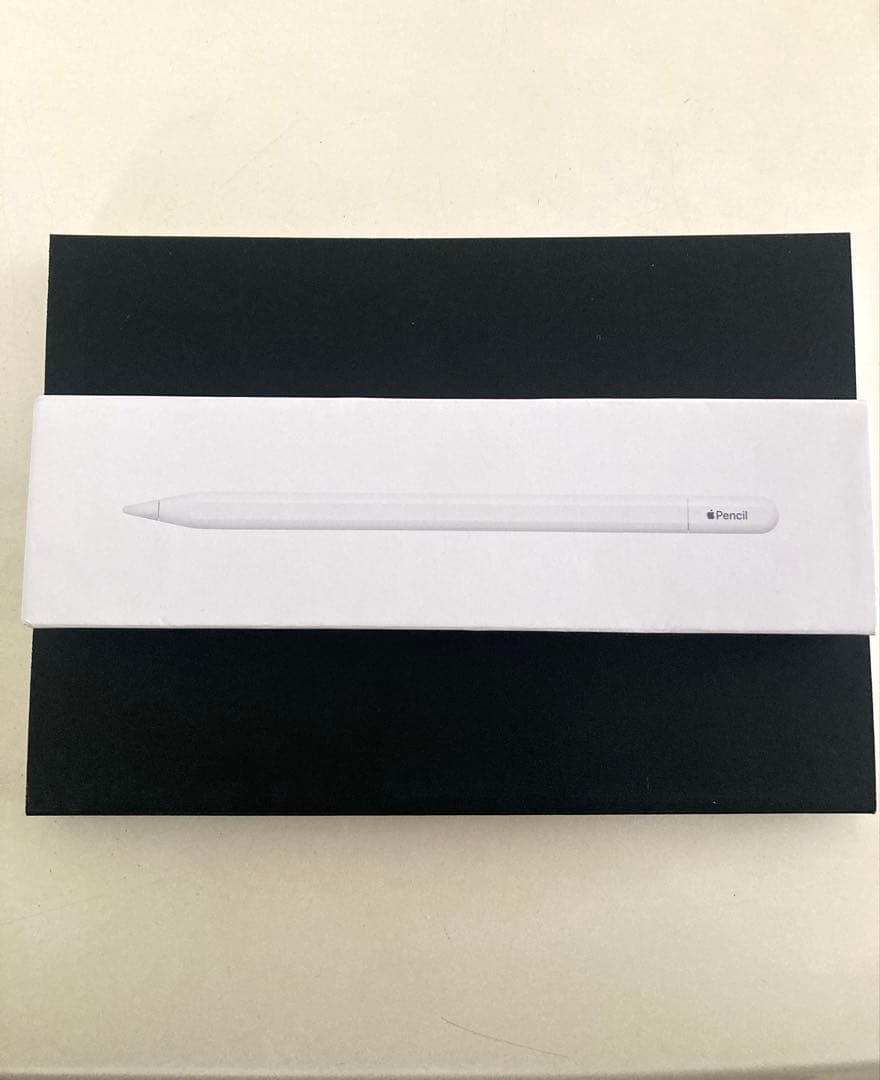 Apple Pencil (USB-C)純正品 新品、未使用