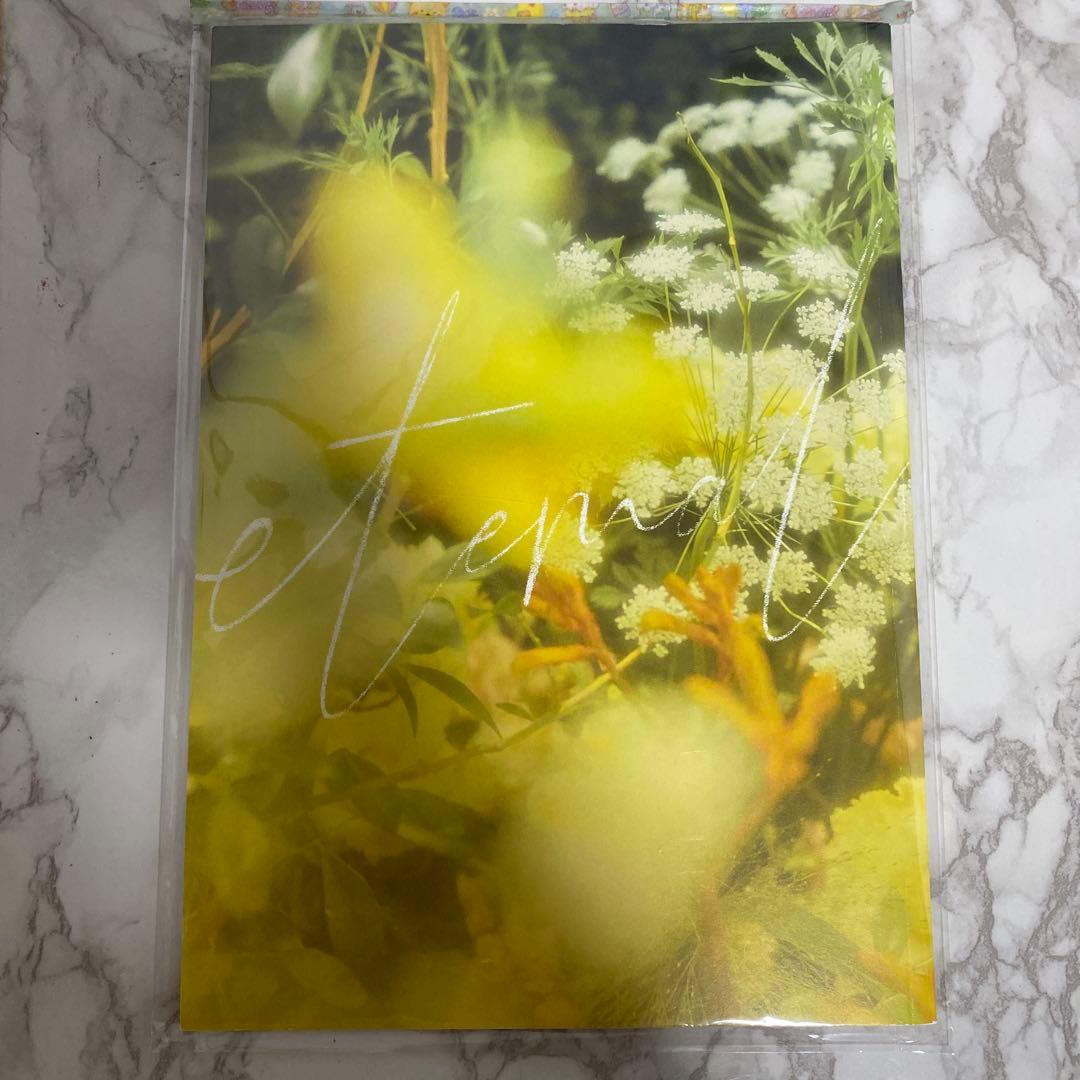 美しい彼 Blu-ray BOX〈3枚組〉 フライヤー 入場特典 弾2枚ずつ