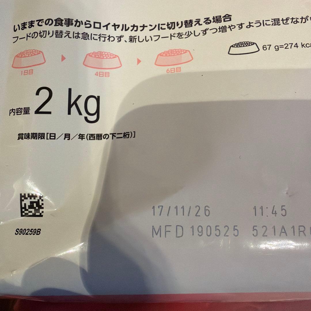 CANIN 成長期の子猫用 2kg 4袋　＋焼ささみフーズ