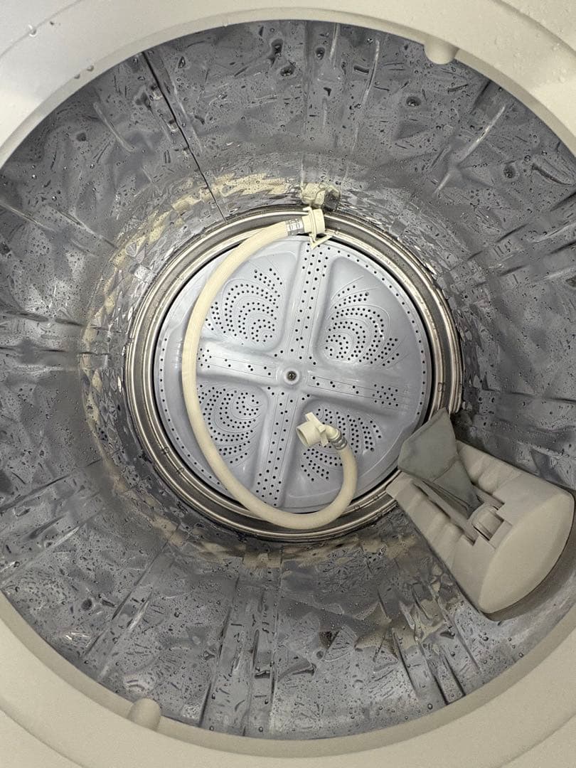 SHARP 2020年 10キロ 洗濯機 分解洗浄商品 大容量