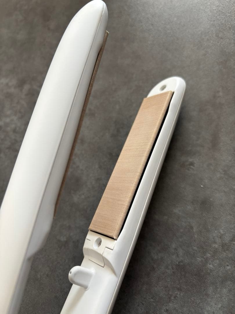 絹女　KINUJO DS100