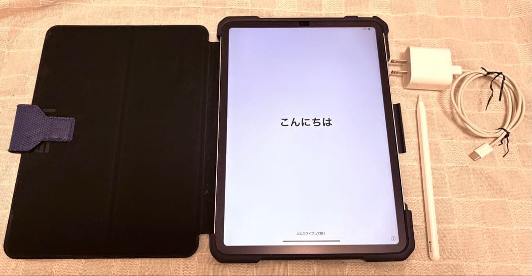 iPad Pro 11インチ第1世代256GB Apple Pencil第2世代