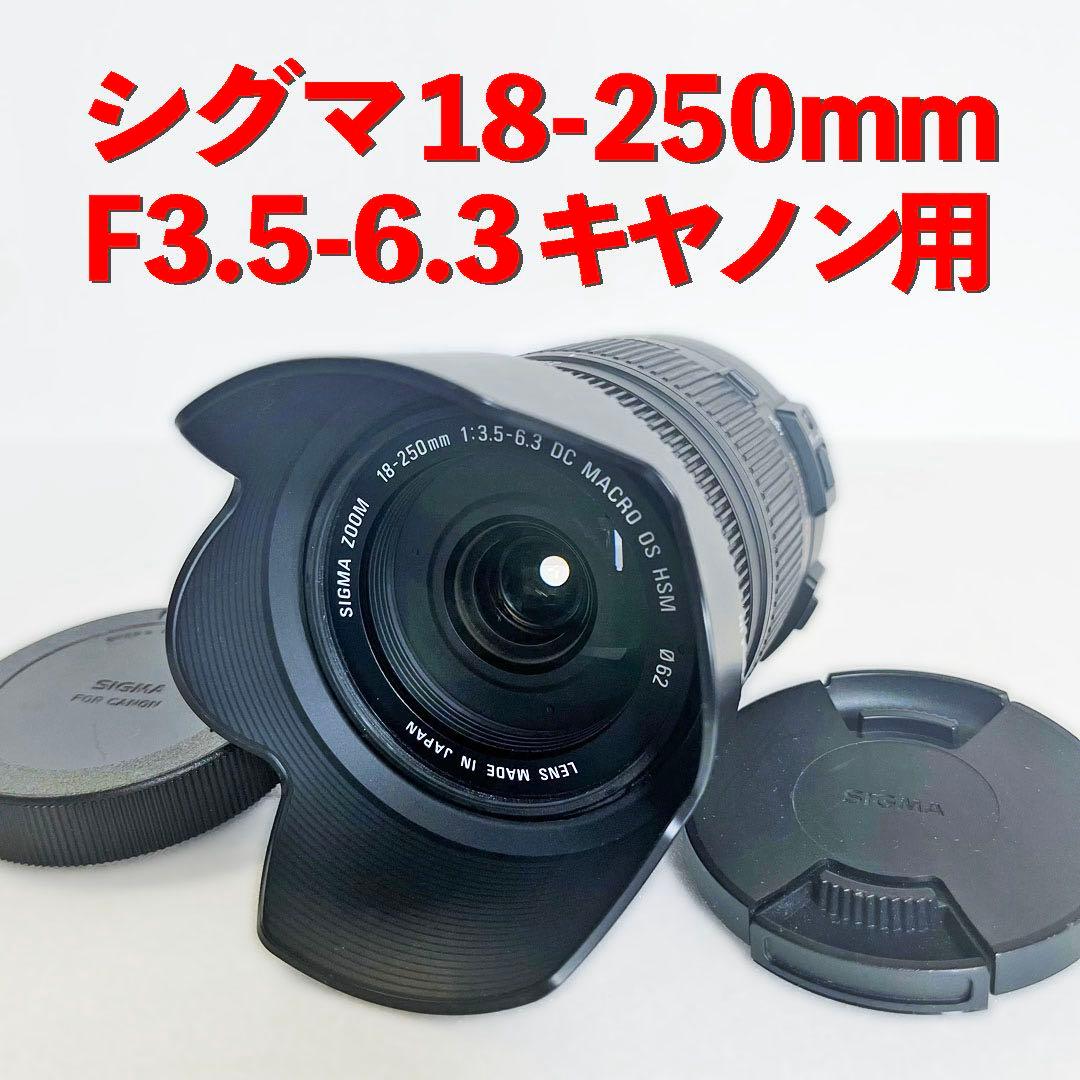 シグマ DC 18-250mm F3.5-6.3 MACRO HSM キヤノン用