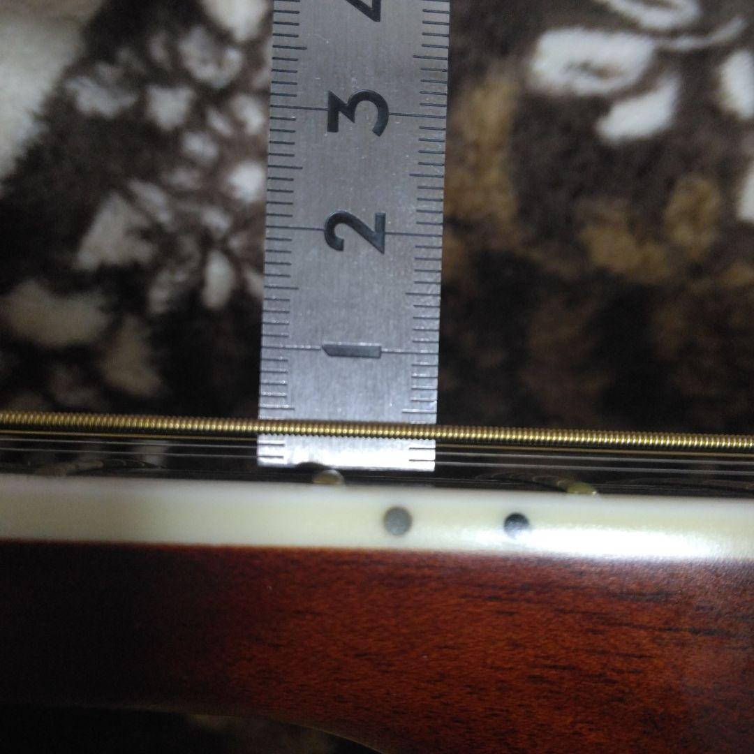 MORRIS モーリス　TF-60 アコースティックギター サンバースト