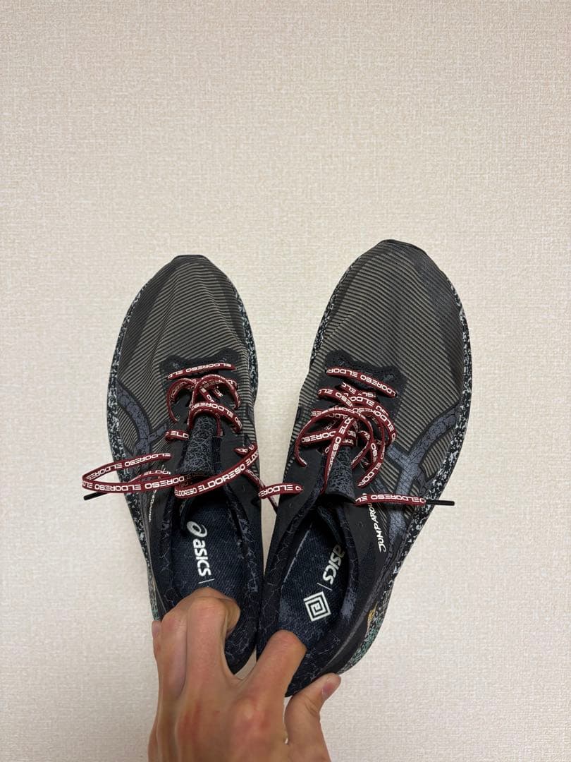 アシックス✖︎エルドレッソ S4 28.5