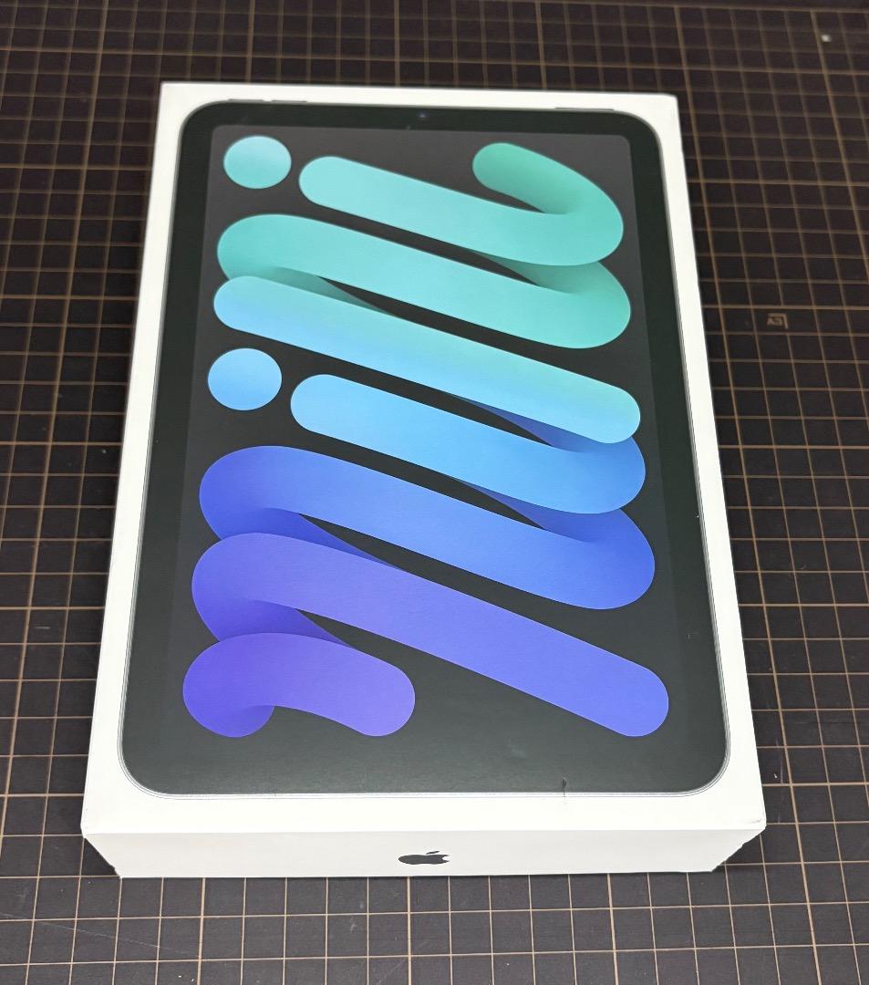 Apple iPad mini A17 第7世代 512GB スペースグレイ