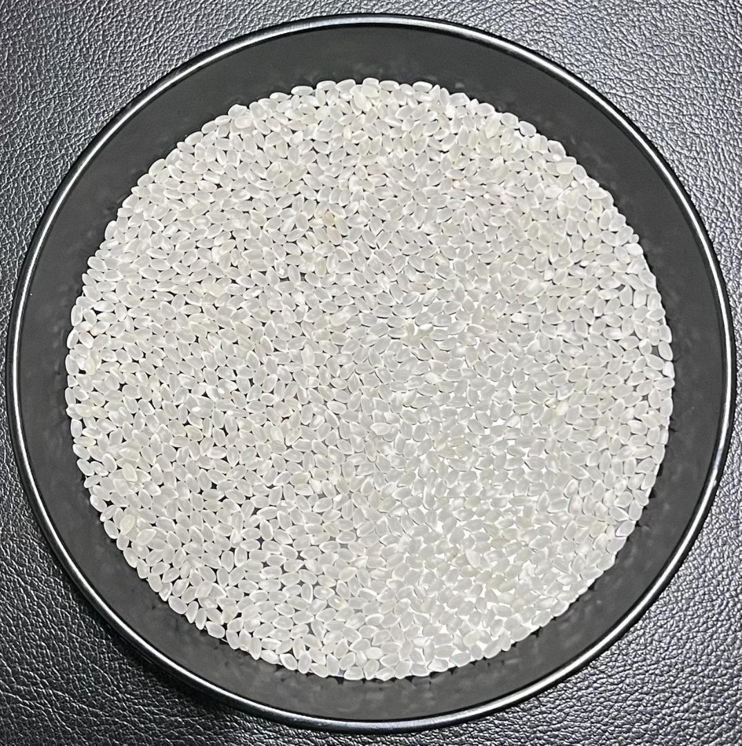 送料無料 一等検査 令和7年産 京都 丹後 コシヒカリ 白米 約18kg