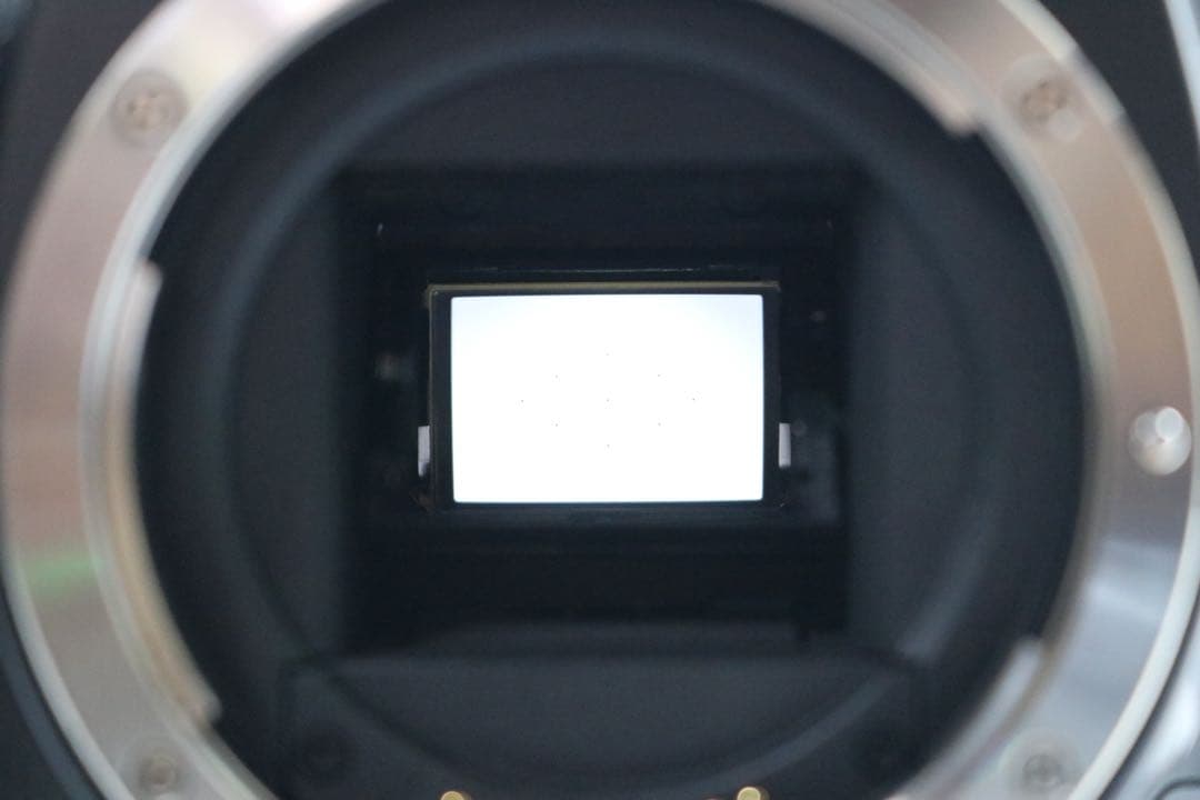 超美品 【Canon EOS Kiss X2 ダブルレンズセット】 安心返品保証