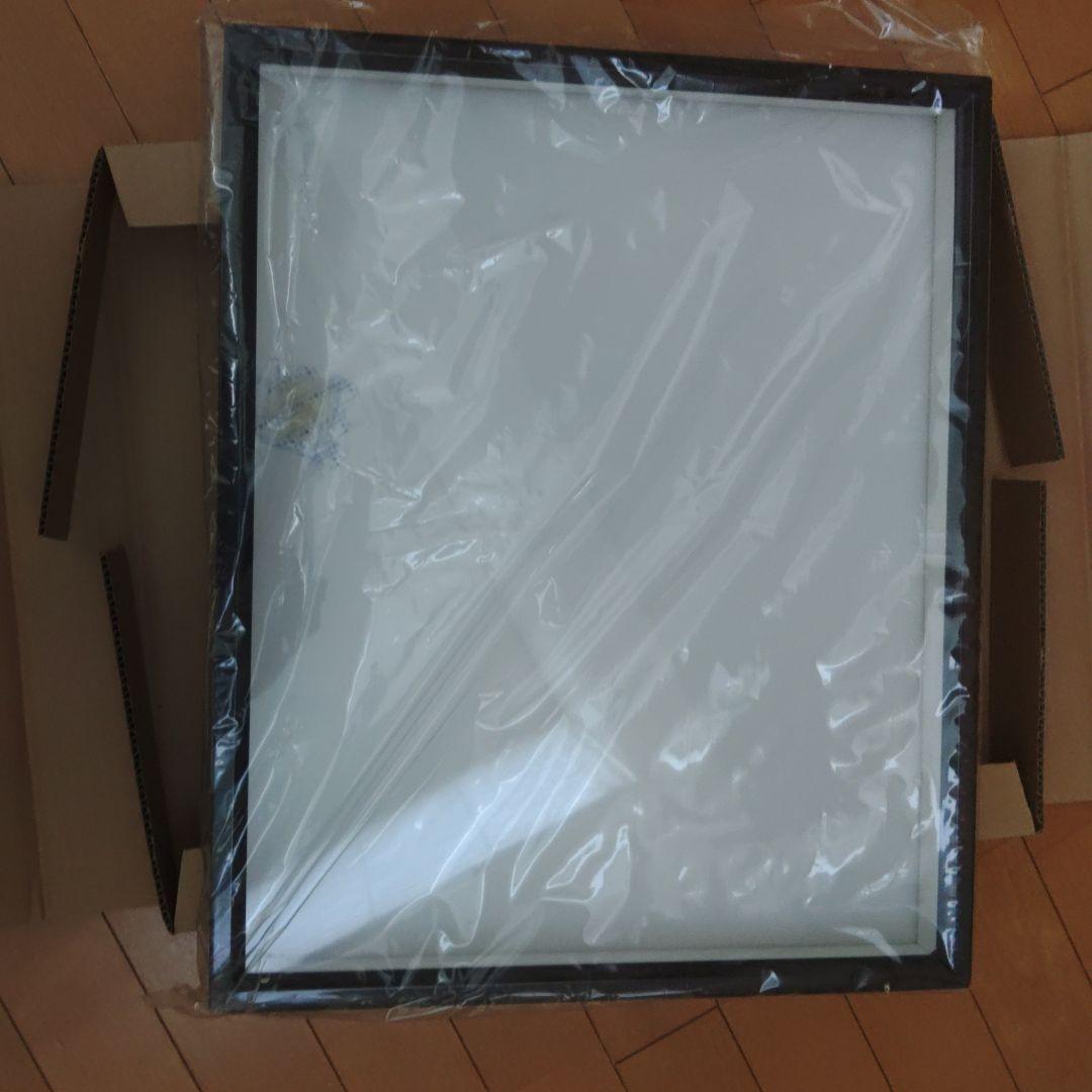 志賀昆虫大型ドイツ箱2箱セット