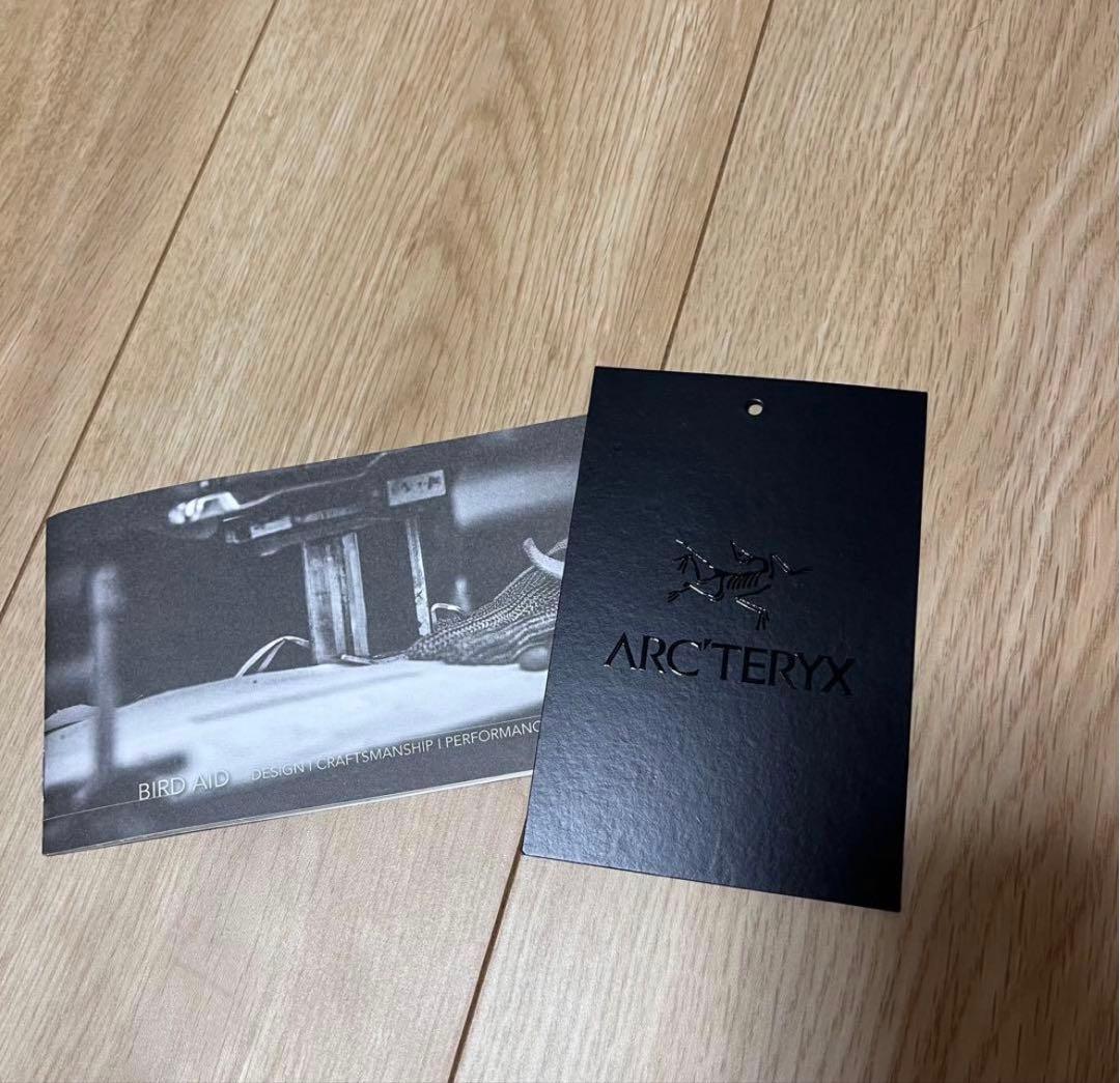 【極美品】アークテリクスベータジャケット　Mサイズ