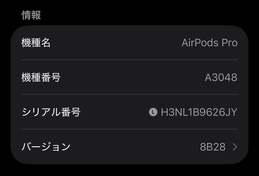AirPods Pro 第2世代 usb-c 両耳 [69]