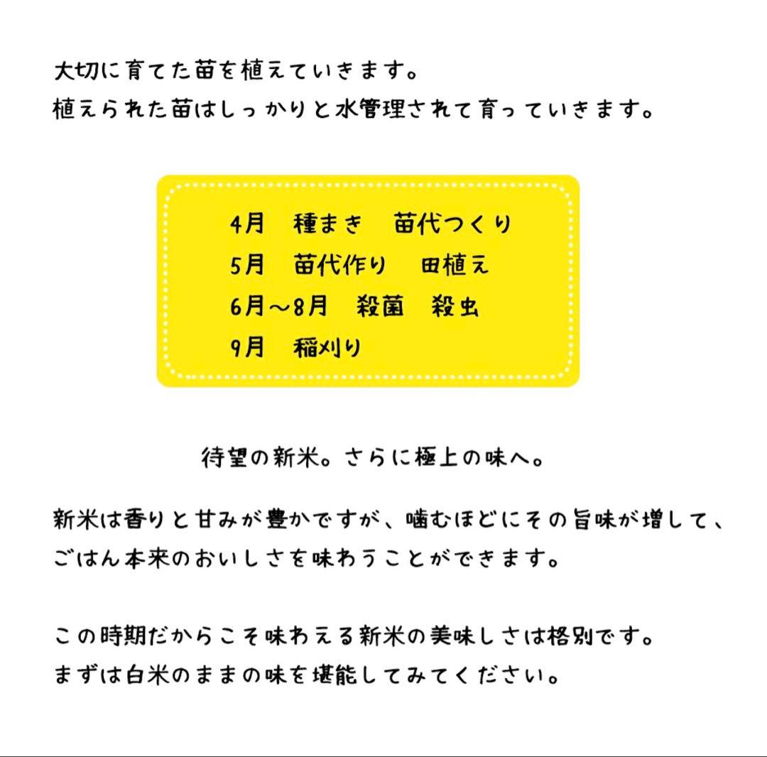ゆめぴりか【玄米】 10kg令和7年 新米 北海道産 蘭越産 ユメピリカ