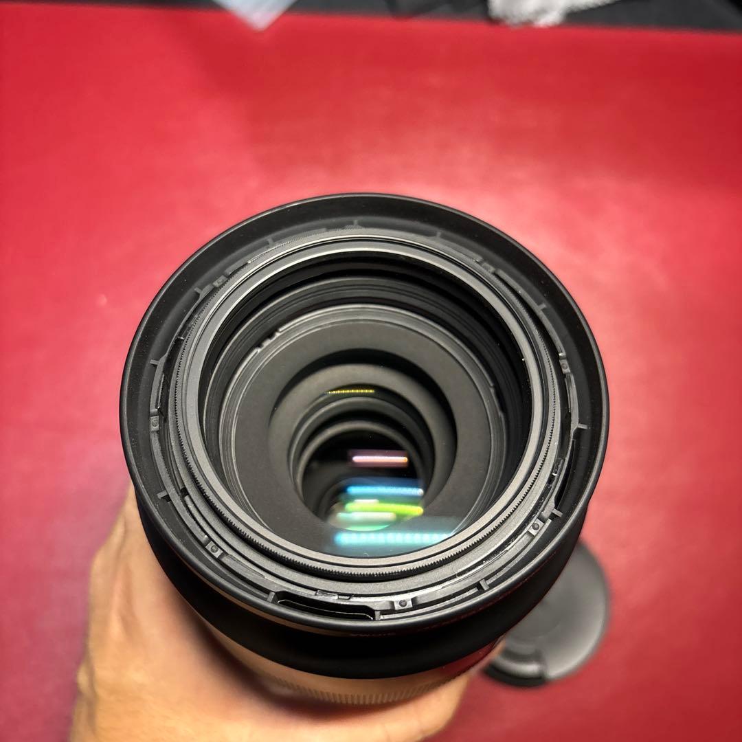 SIGMA 100-400mm f/5-6.3 DG DN 純正三脚座付き