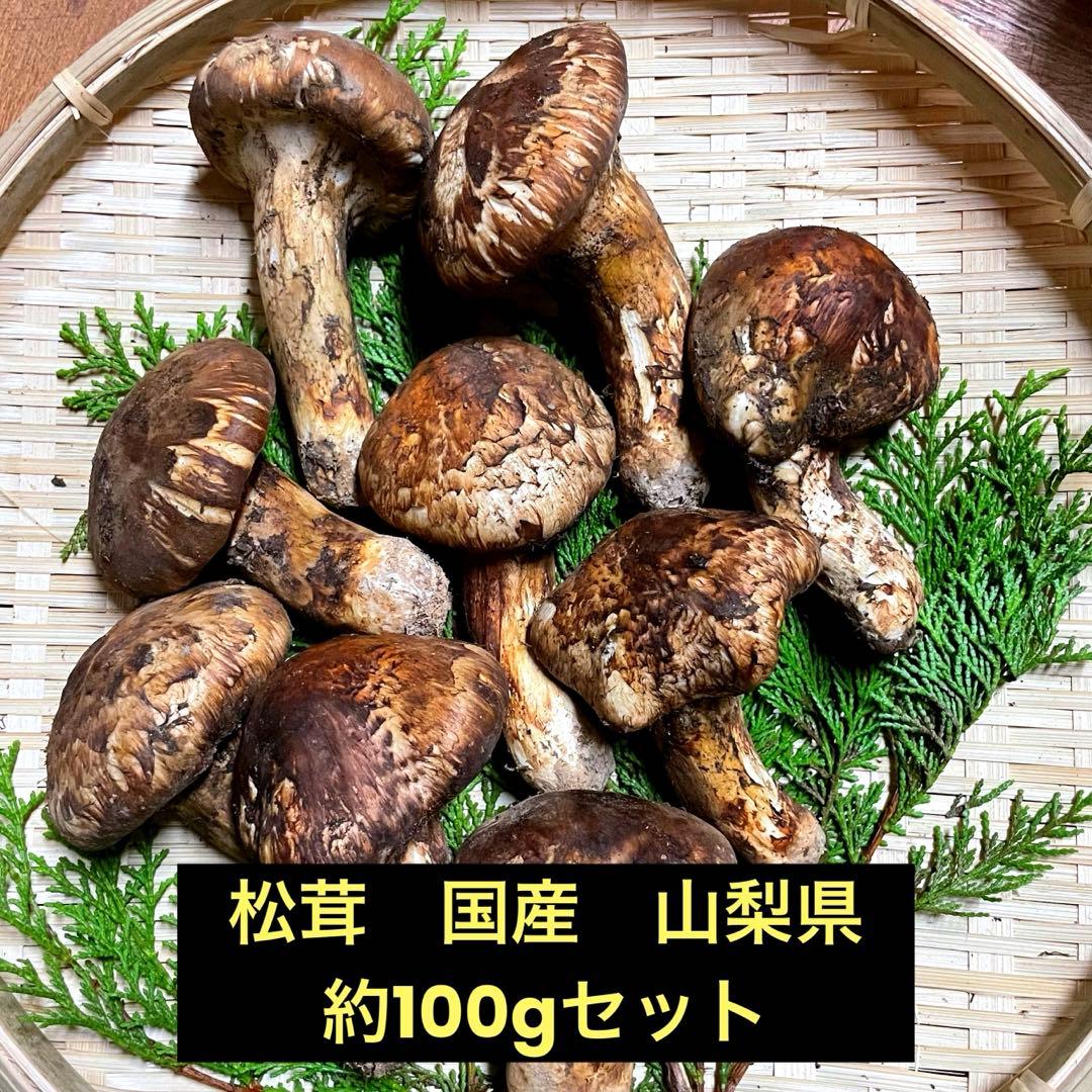 松茸　国産　山梨県　約100gセット