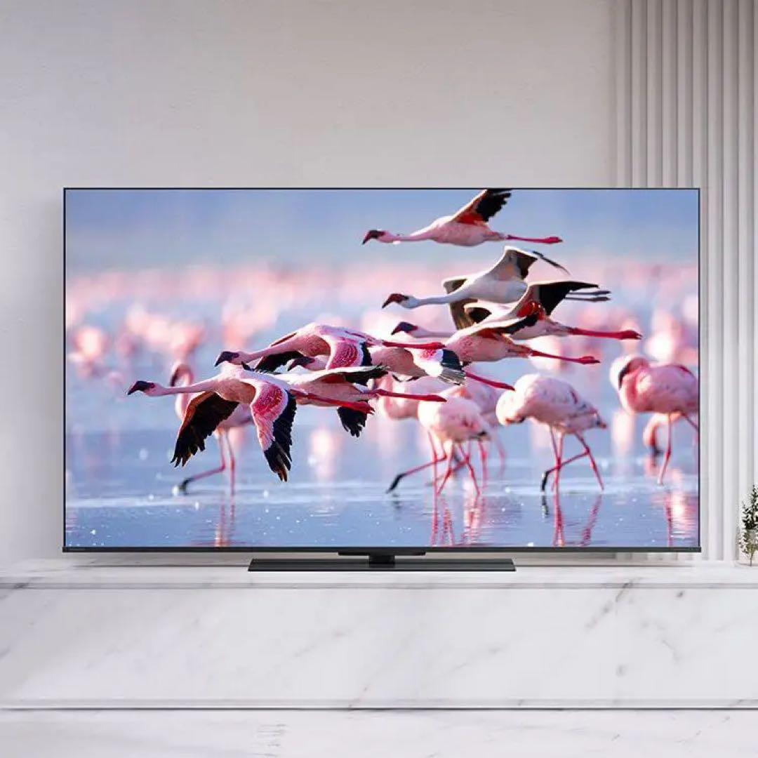 テレビ REGZA 50z670K