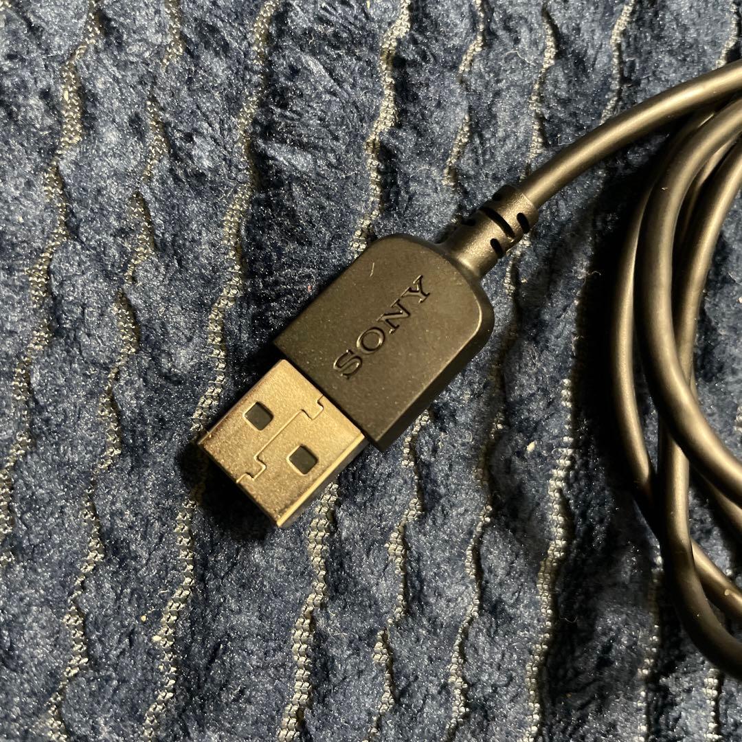 さ*ん様 SONY NW-WM1A 128GB デジタルオーディオプレーヤー　美