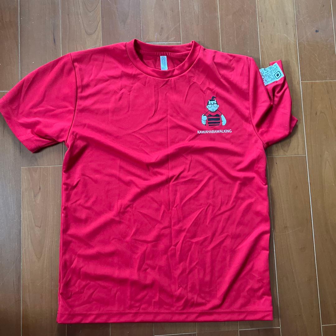 カワハラウォーキング　5点セット