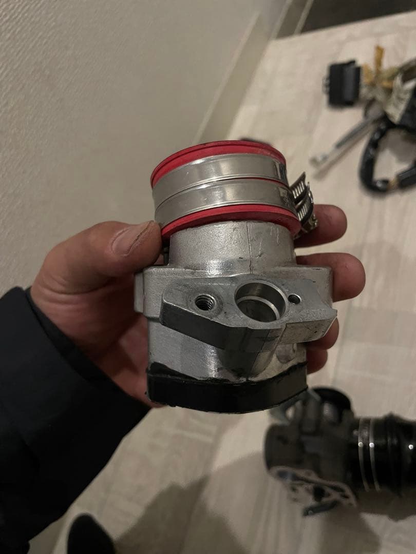 シグナス　ダンドラ　台湾　trhc