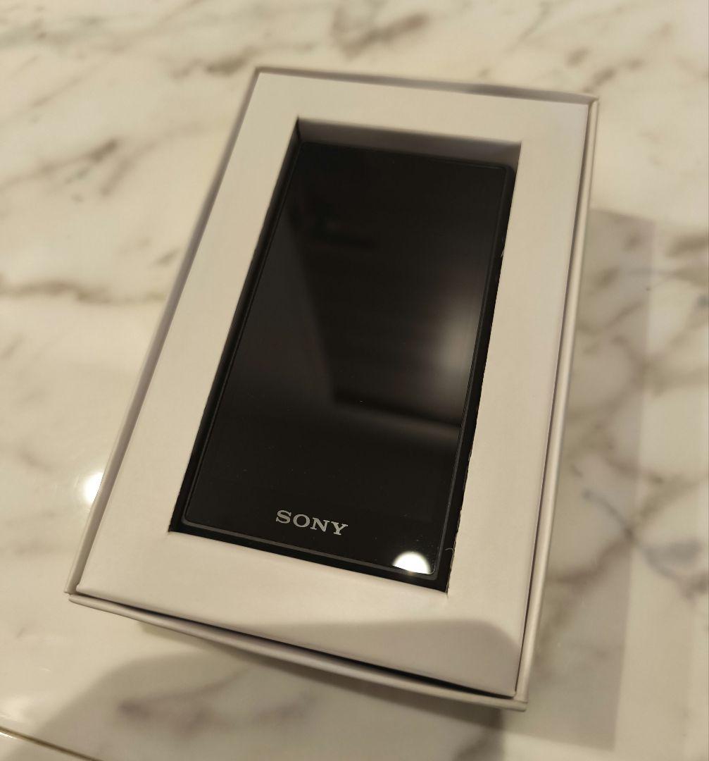 SONY ウォークマン　NW-A105 【美品】