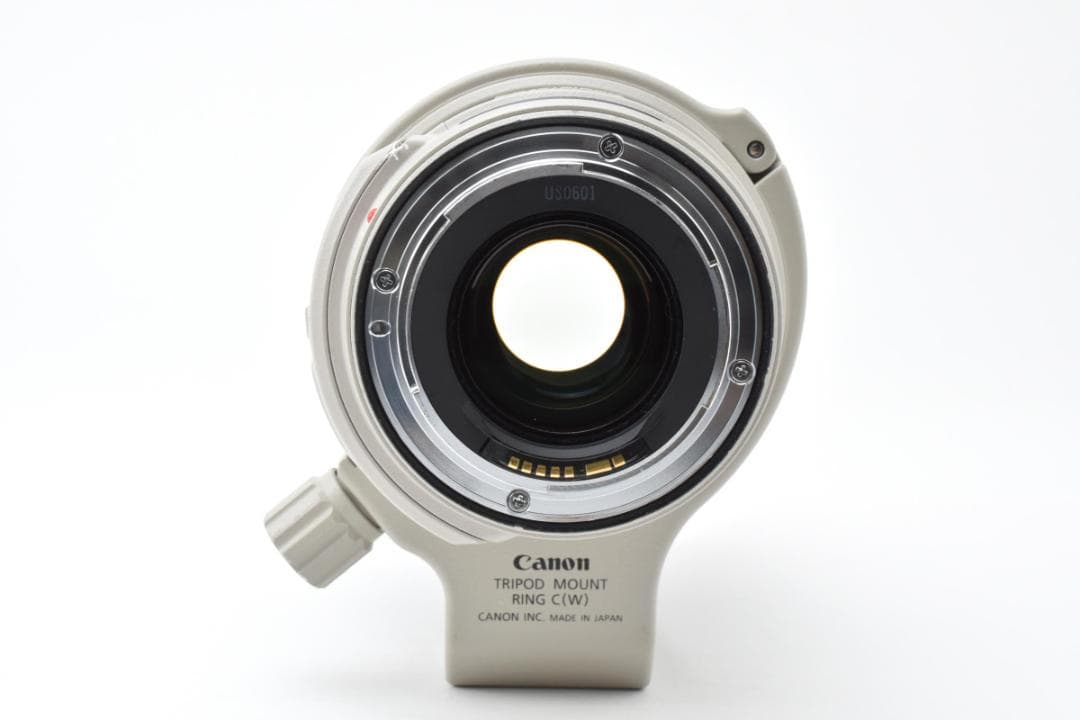 ★極上品★ Canon EF 28-300mm F3.5-5.6L IS USM