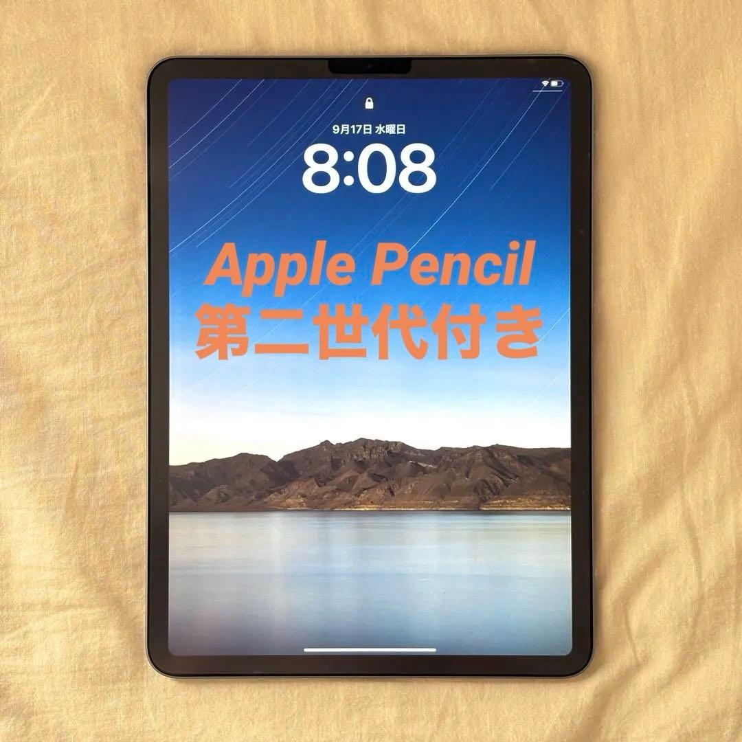 iPad Pro 11インチ 第一世代 64GB ApplePencil付き