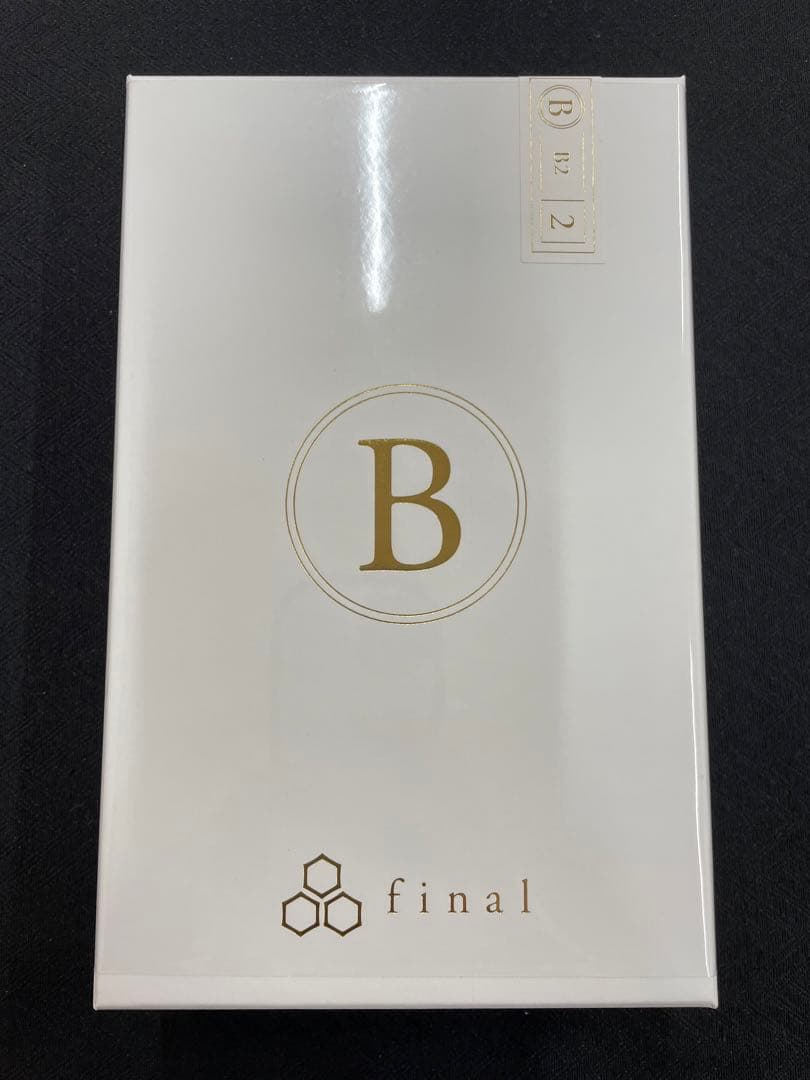 final B2 FI-B1BDSSD カナル型 有線イヤホン ファイナル 本体