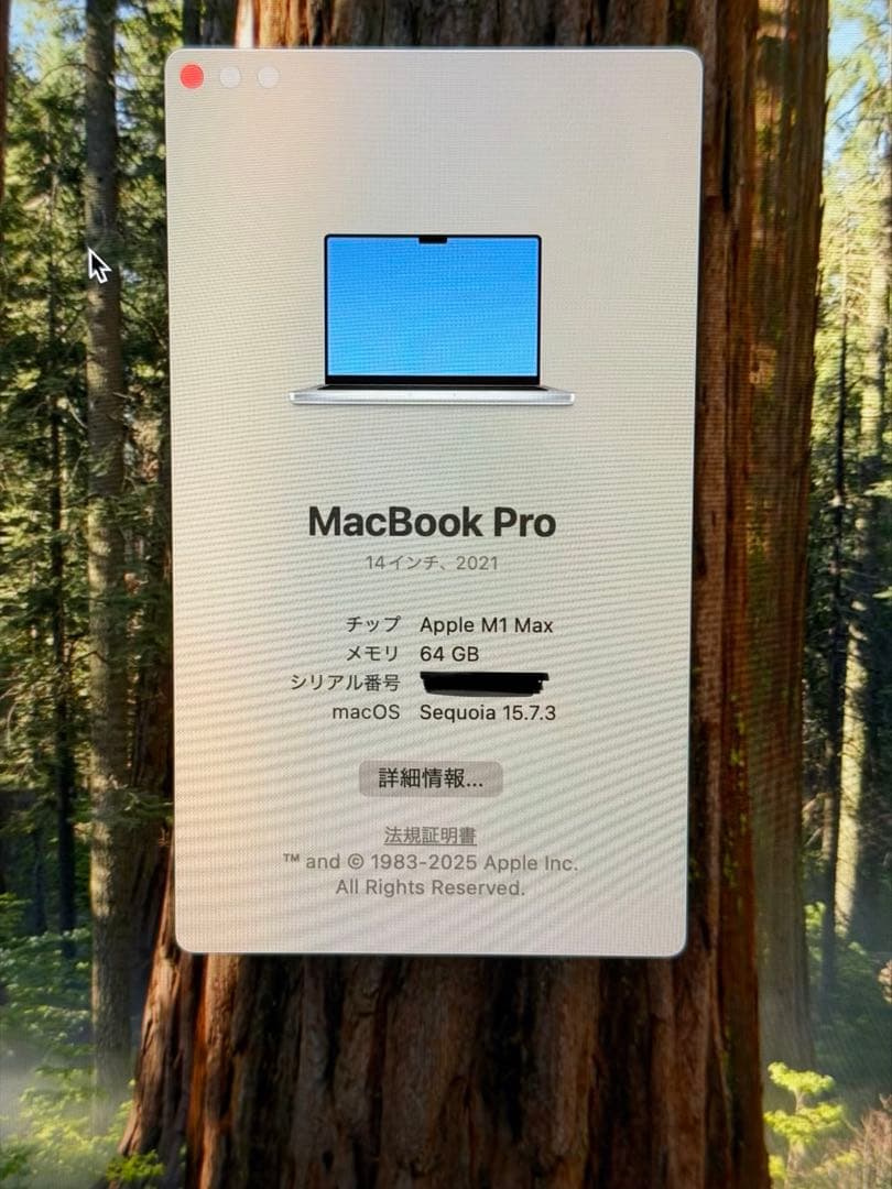 MacBook Pro 14“ M1 Max 64GB US