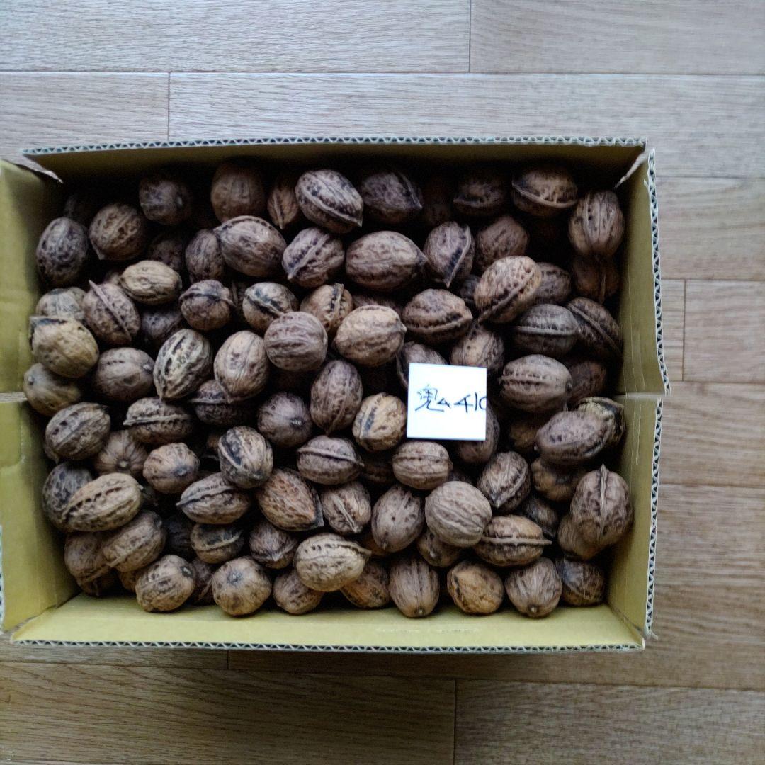 るしゃ出品鬼胡桃、姫ぐるみ２０キログラム