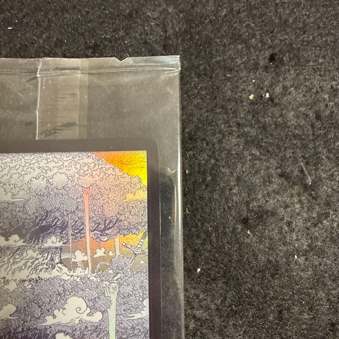 ONE PIECE DAY '25 来場者特典　エルバフ　ドン‼︎カード