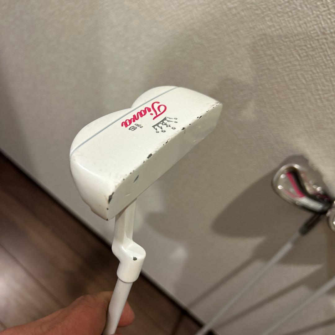 ウィルソン他　レディースL 右利き　ハーフゴルフセット