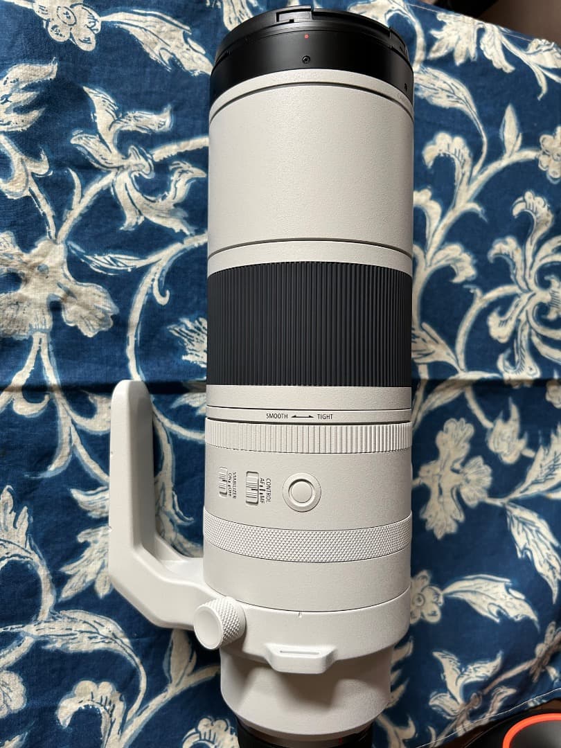 Canon RF 200-800mm レンズ