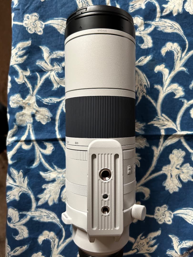 Canon RF 200-800mm レンズ
