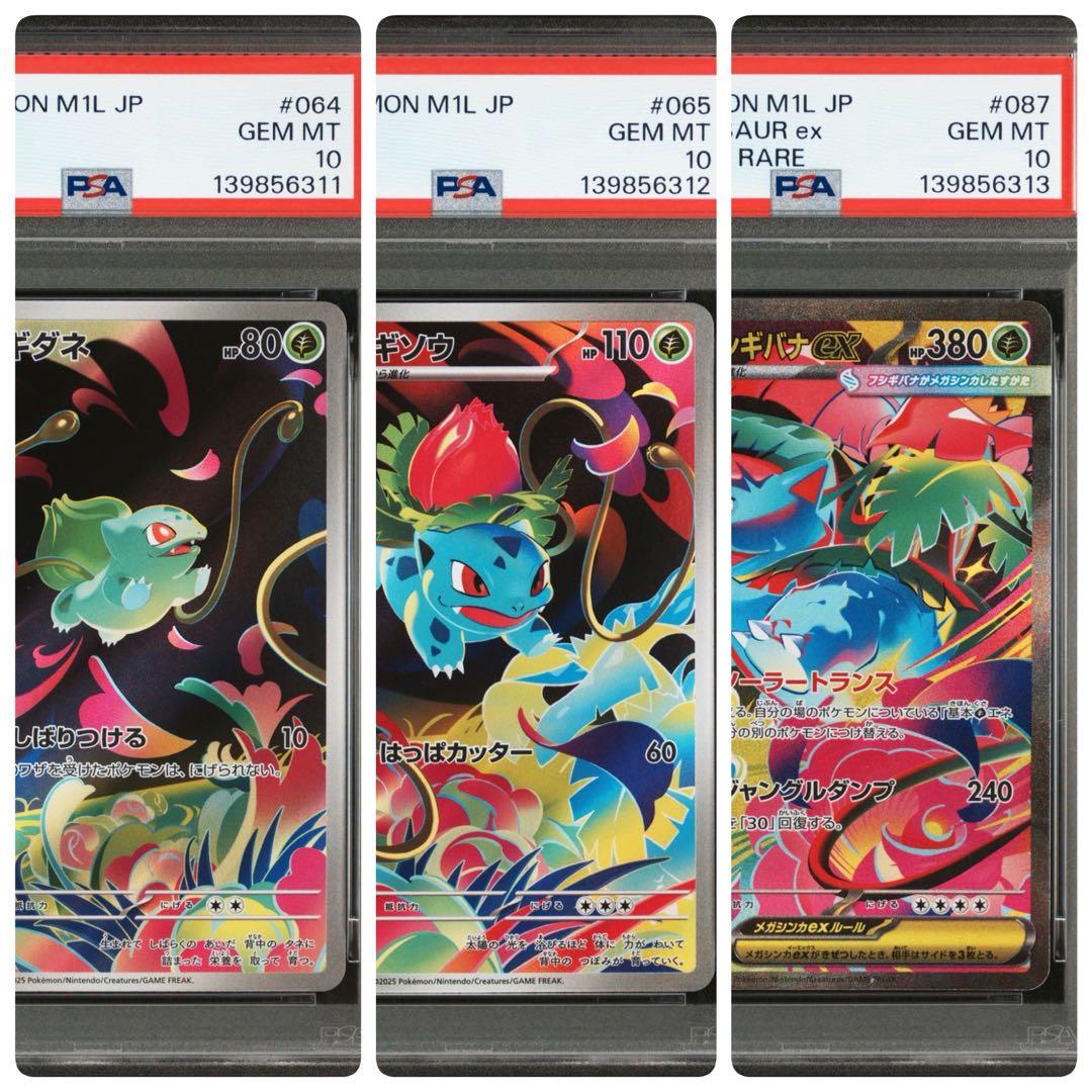 【鑑定品】フシギダネ フシギソウ フシギバナ PSA10 3連番