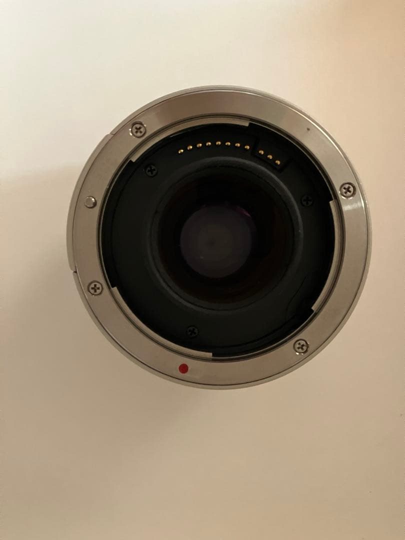 レンズ(単焦点) Canon Extender EF 2x