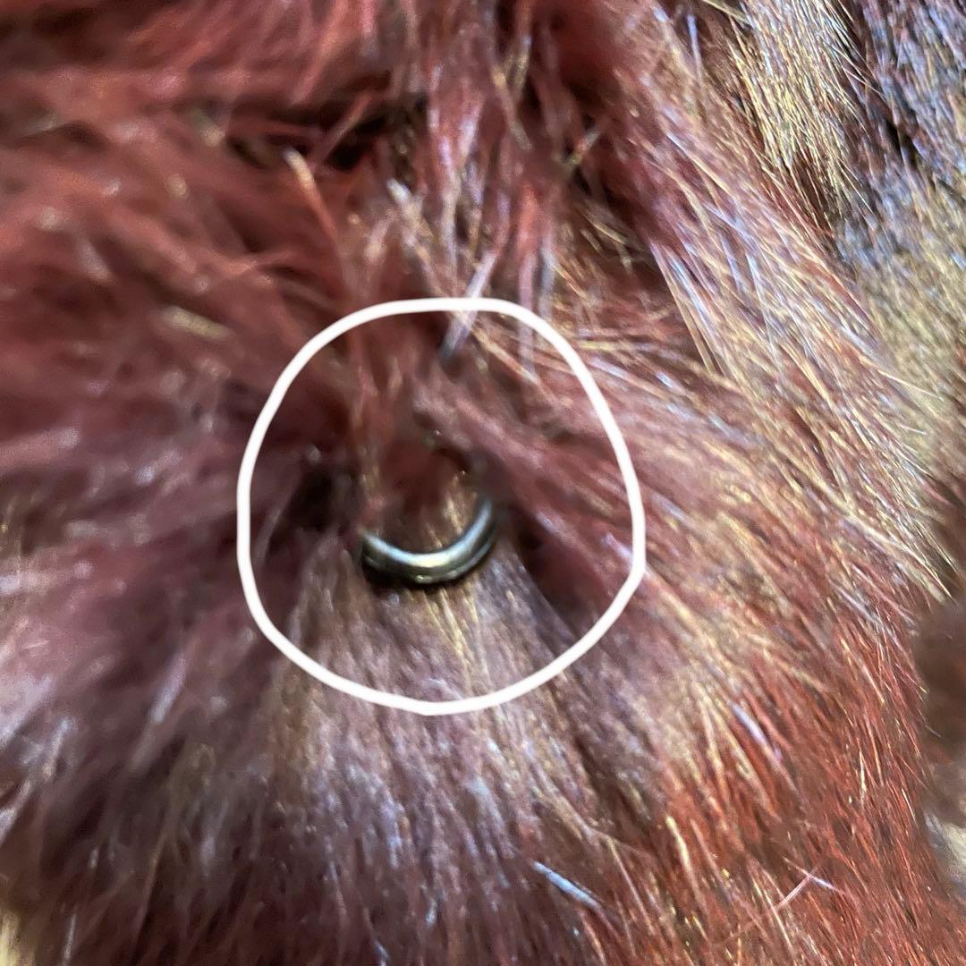 クロップド丈　フォックスファー　毛皮ショートコート　ボルドー　希少　Y2K