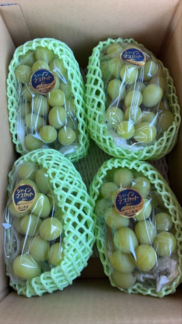 ⑤岡山県産シャインマスカット4kg