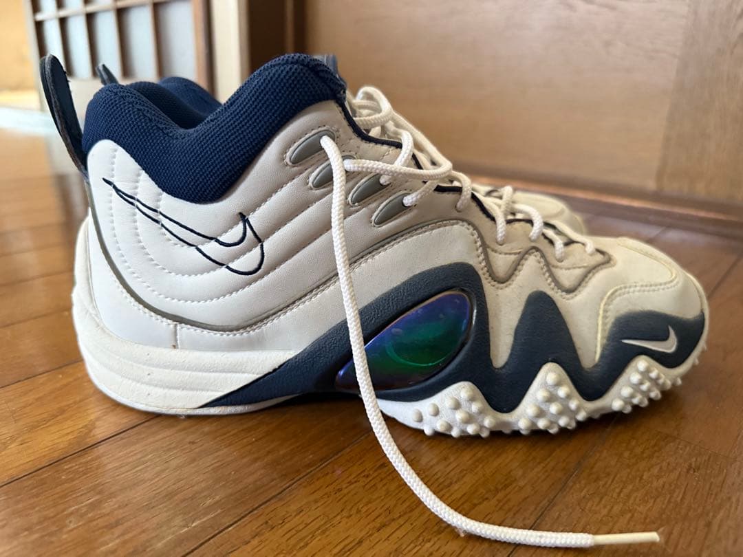 エアズームフライト5 29.5㎝