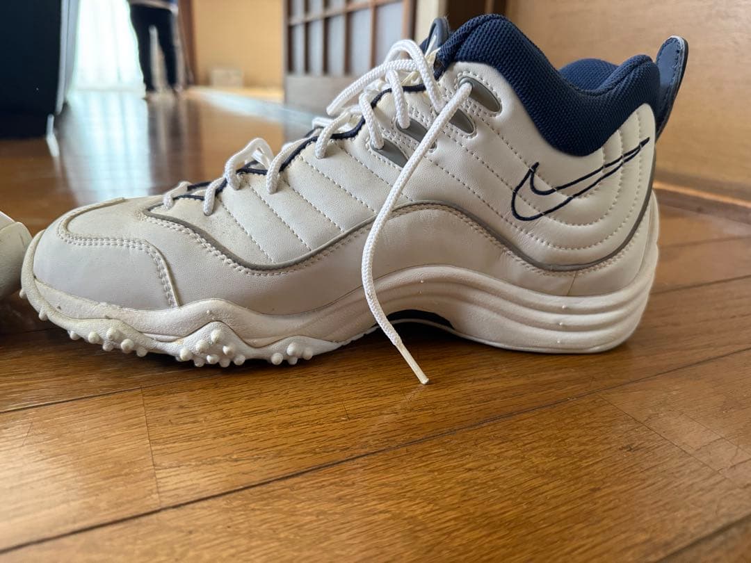 エアズームフライト5 29.5㎝