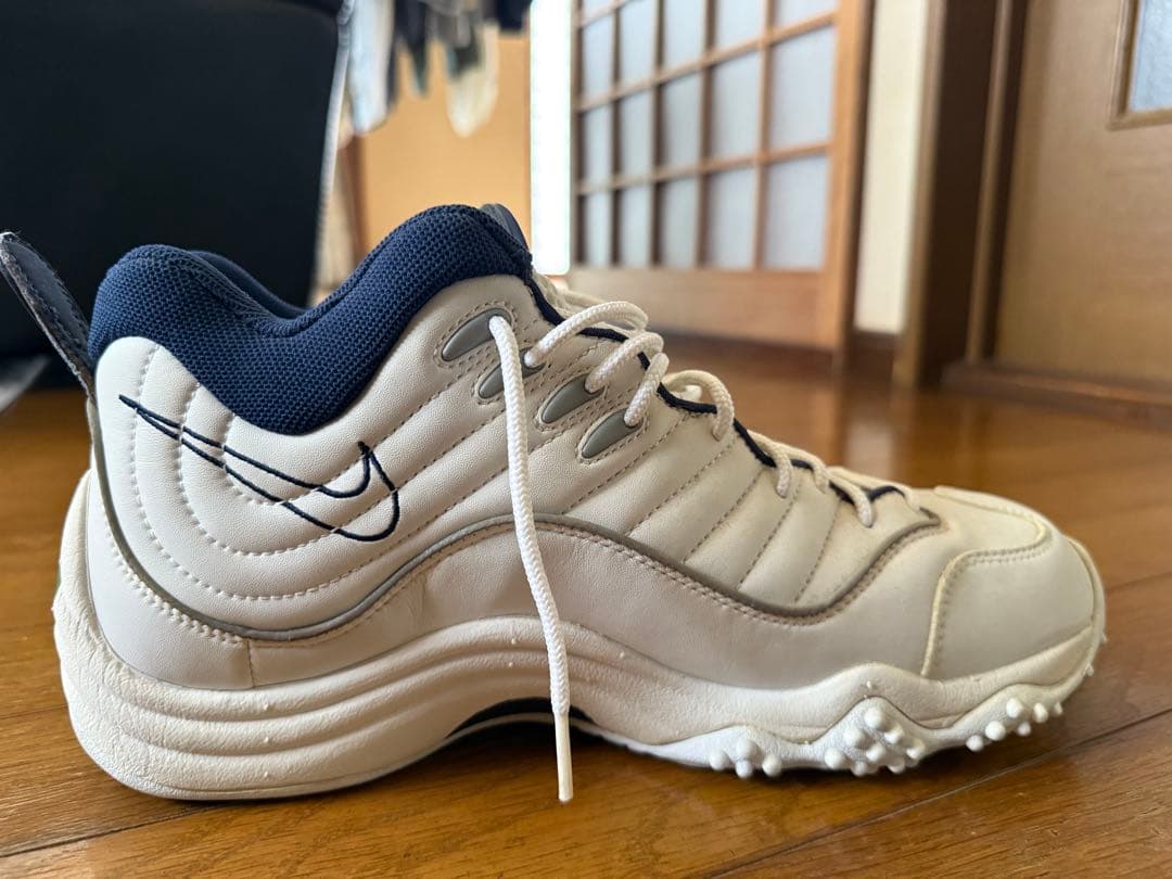 エアズームフライト5 29.5㎝