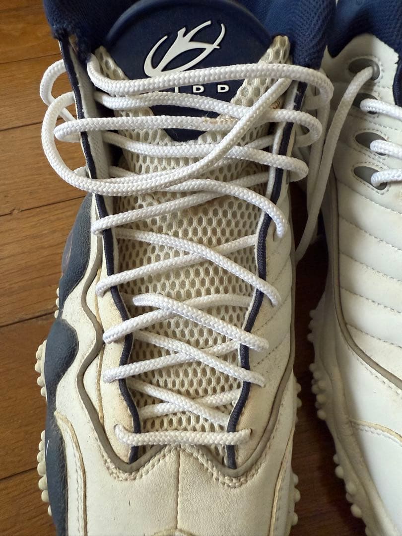 エアズームフライト5 29.5㎝