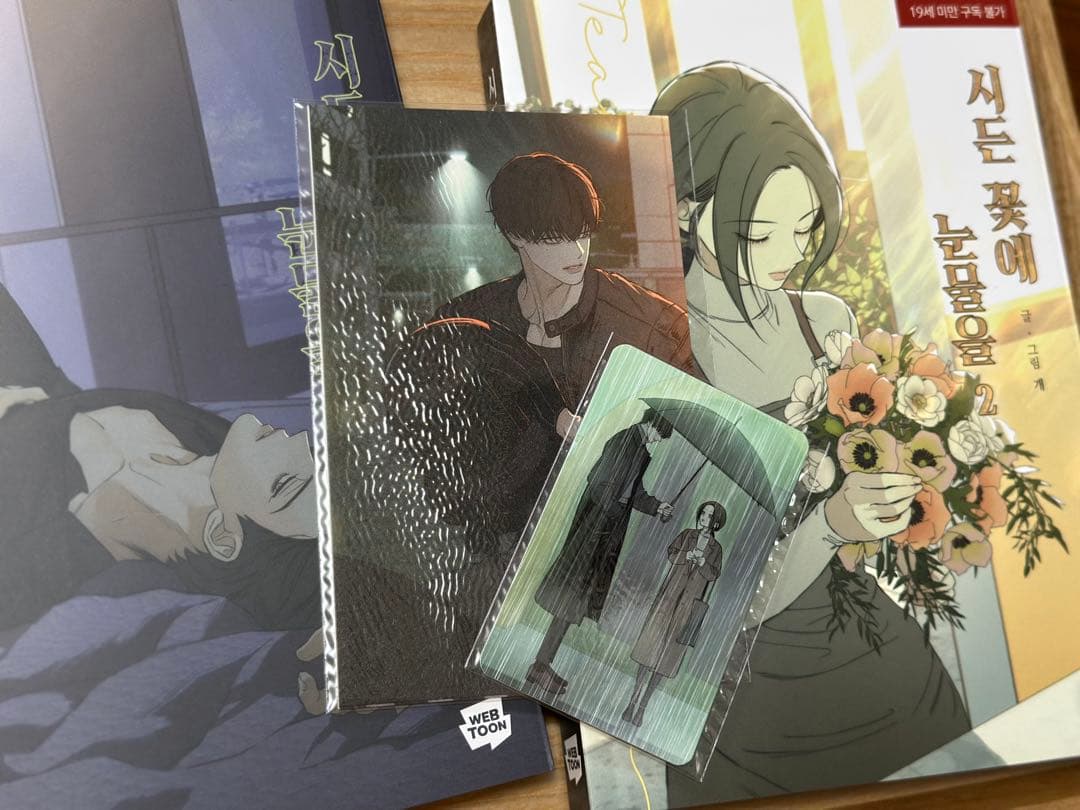 ⭐︎美品☆枯れた花に涙を 韓国版　特典　フォトカード トレカ イラストカード付き