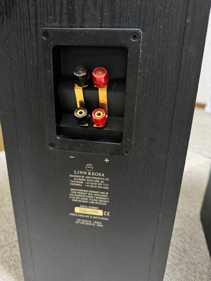 LINN KEOSA フロアスタンディングスピーカー ブラック