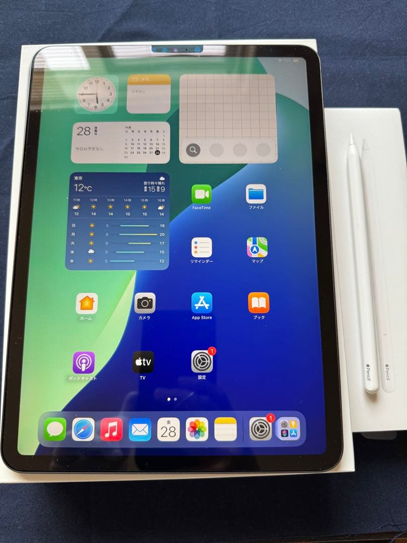 iPad Pro 11インチ 第2世代とApple Pencil セット販売
