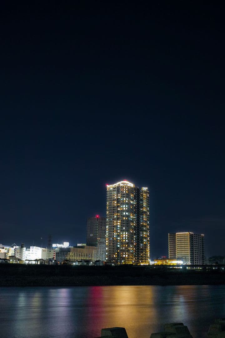 DP2 Merrill 訳あり