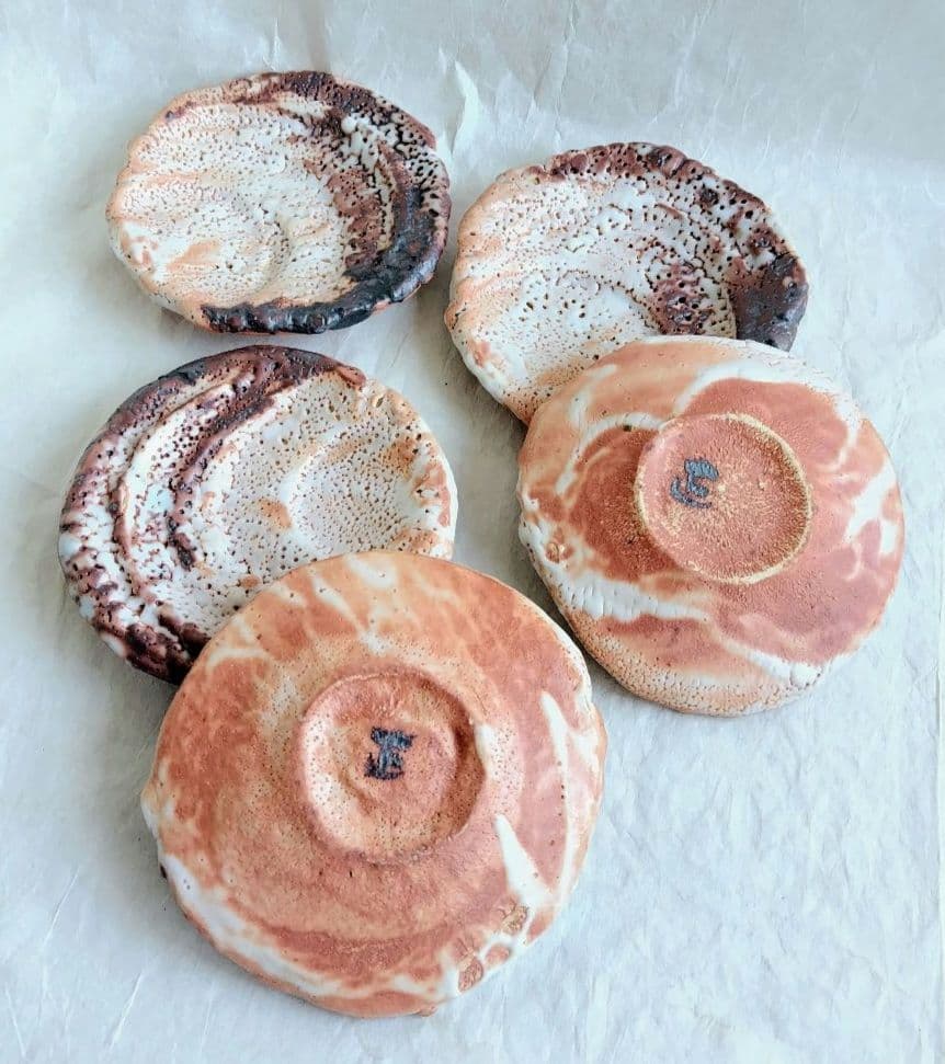 FROM JAPAN様　志野組皿五枚 (林正太郎 作) 未使用 新品同様