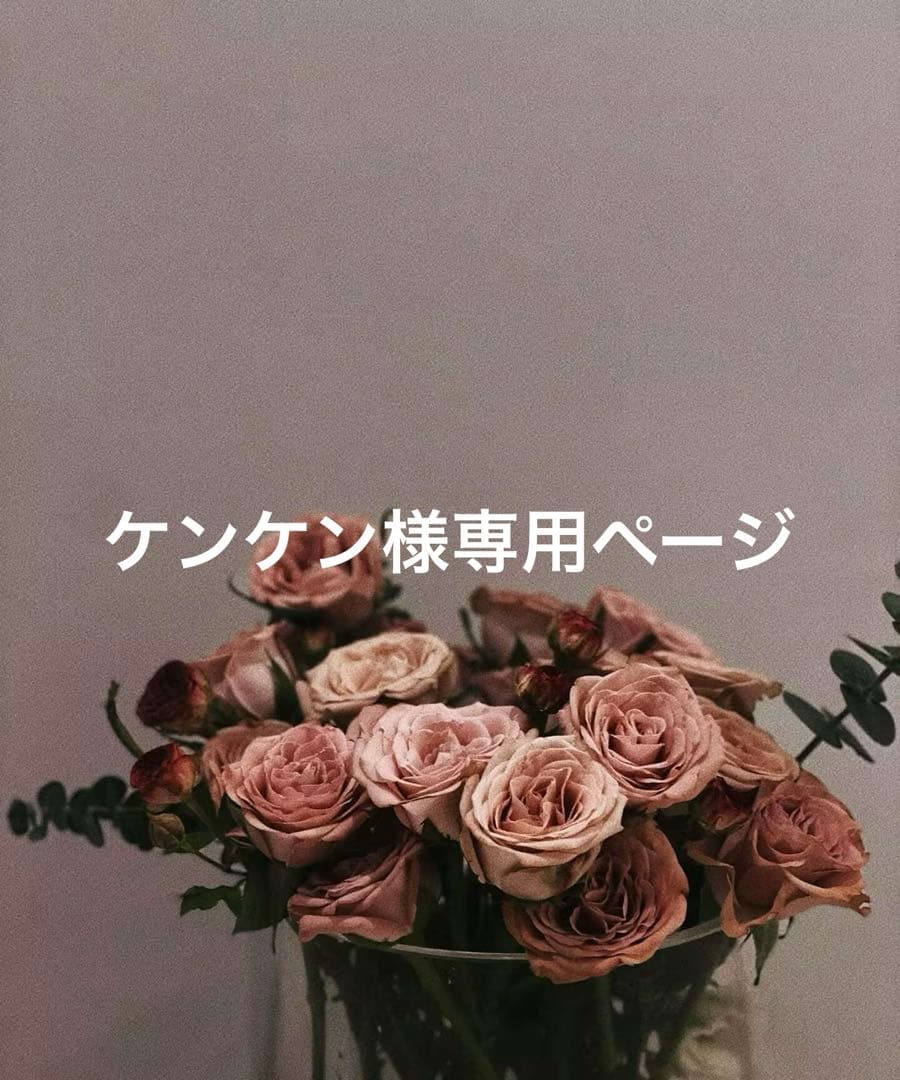 ケンケンページ