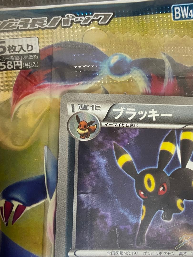 【未開封】ポケモンカードゲームBW ダークラッシュ キャンペーンパック　ポケカ