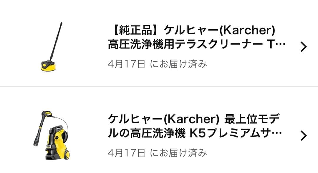 【純正品】ケルヒャーテラスクリーナーT5