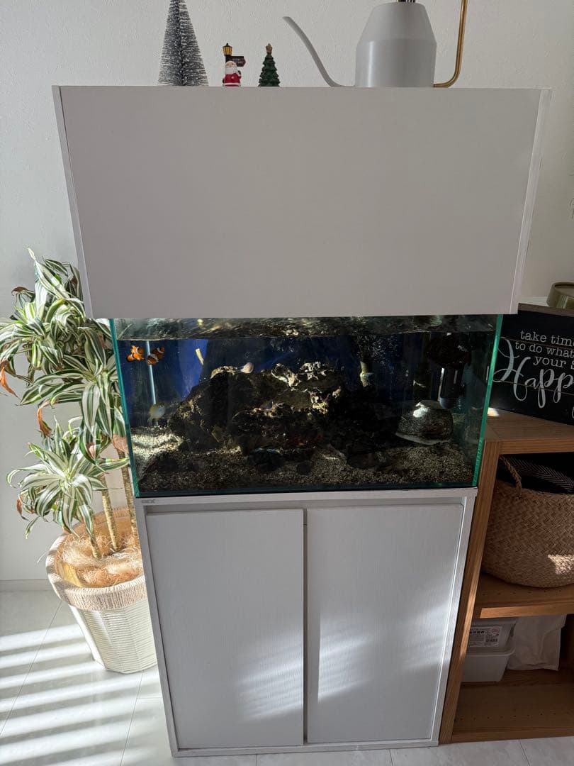 【値下げ】ガラス水槽 SET※ ゆとさん専用